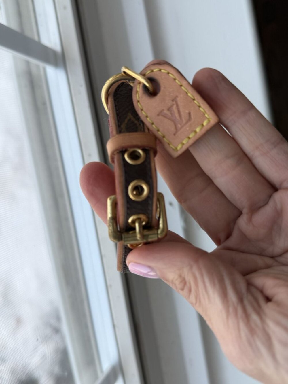 LOUIS VUITTON Baxter PM Dog Collar & Leash Small dog - Picture 5 of 8